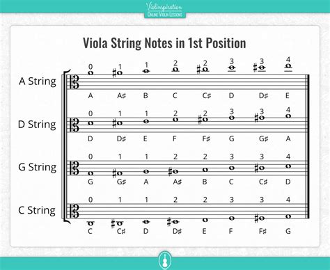 how to read viola sheet music: exploring the nuances of string instrument notation